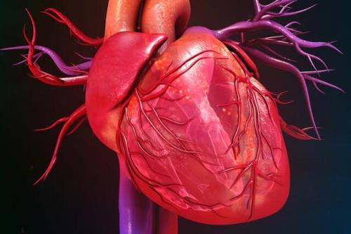 رژیمی برای جلوگیری از مبتلا شدن به بیماری های قلبی عروقی