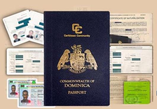دلایل انتخاب پاسپورت دومینیکا