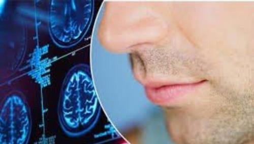 چگونه حس بویایی را پس از بیماریهای ویروسی برگردانیم؟