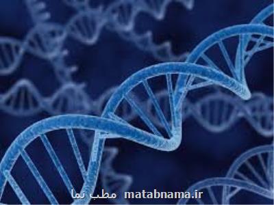 كشف سندروم جدید توسط پژوهشگر شیرازی