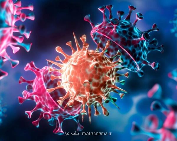 اخطار کارشناس ارشد بیماری ها در آمریکا درباره سویه مو