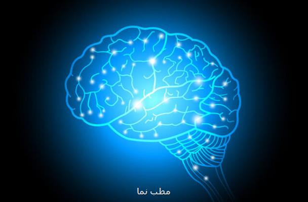 یافتن دو ژن جدید در رابطه با فلج مغزی