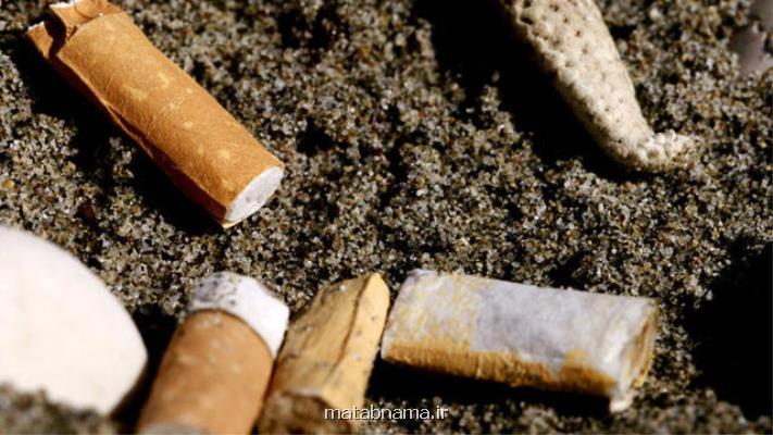 پلاستیک و ته سیگار بیشترین زباله های ساحل