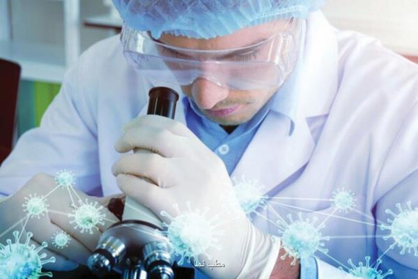 آغاز بازبینی ساختار پژوهشی دانشگاه تهران