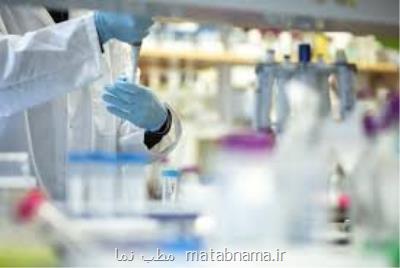 احتیاج به عزم جدی برای عرضه پژوهش های بنیادی و محصول محور