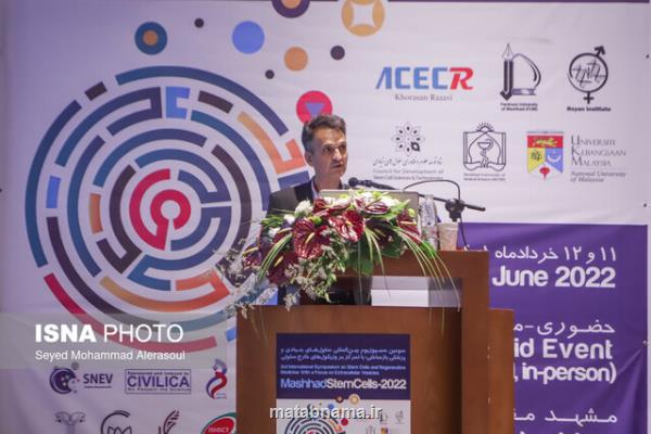 مقررات بازدارنده، مانعی برای درمان بیماریها با مشتقات سلول های بنیادی است