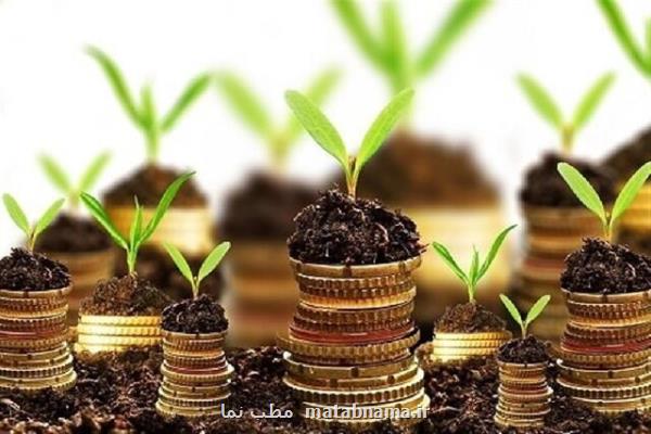 جزئیات حمایت ۱۰۰ میلیونی از رساله های محصول محور