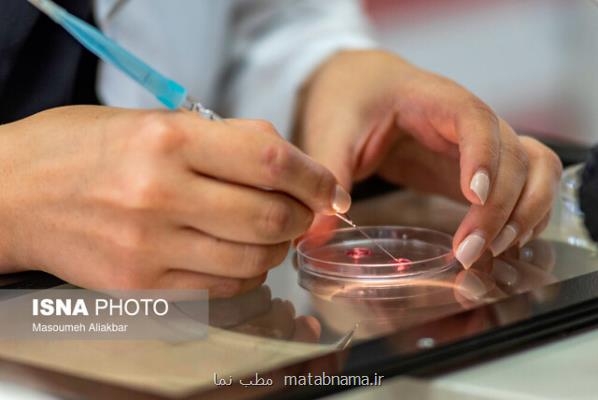 همکاریهای تحقیقاتی با نهادهای بین المللی با اطلاع وزارت بهداشت باشد