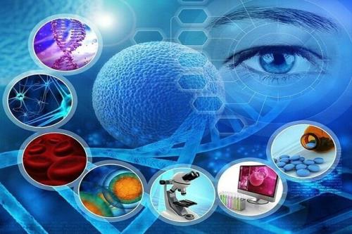 حل مشکلات و نیازهای جامعه فاکتورهای مهم انتخاب پژوهشگران و فناوران برگزیده کشور