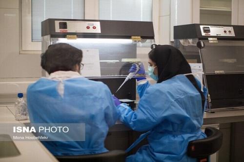 شروع فعالیت رسمی شبکه لابراتوار های علمی ایران تا یک ماه آتی