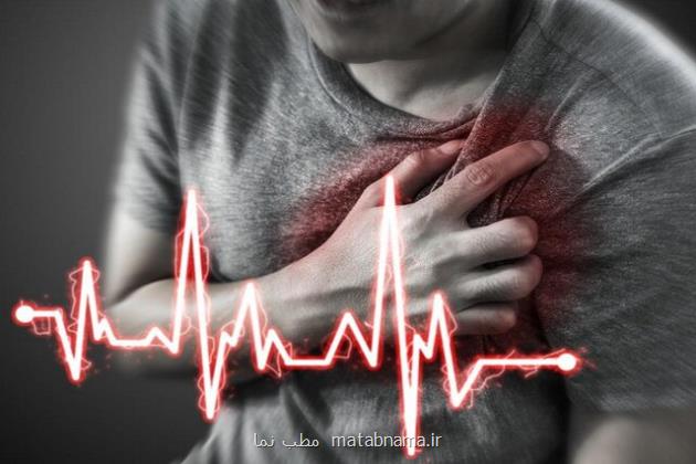 نقش دارچین در پیشگیری و درمان بیماریهای قلبی