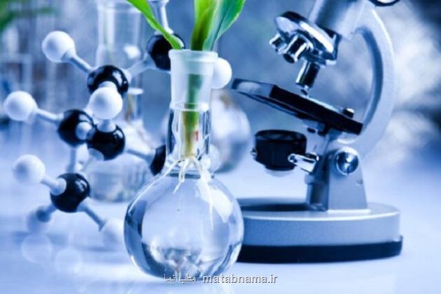 پذیرش پایان نامه و پروژه های تحقیقاتی در مرکز ملی ذخایر ژنتیکی و زیستی ایران