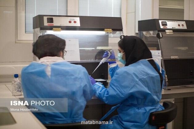 شروع فعالیت رسمی شبکه لابراتوار های علمی ایران تا یک ماه آتی