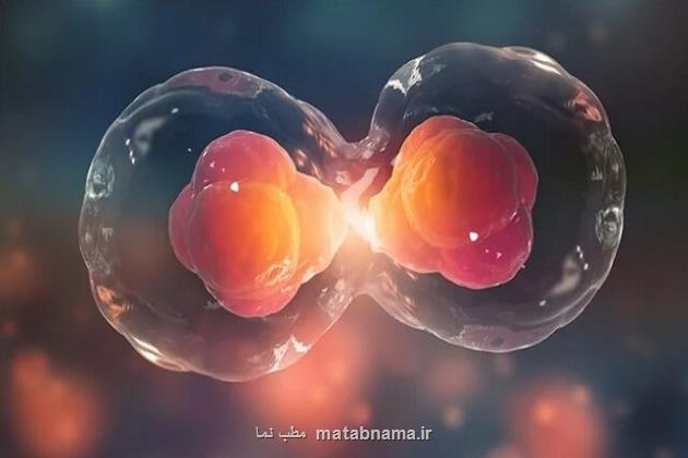 طراحی و ساخت یک چیپ برای سنجش سختی دیواره تخمک