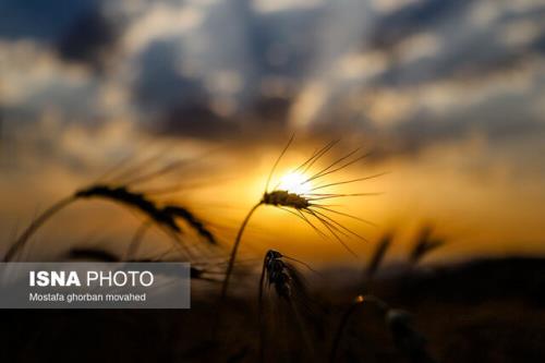 سلام کشاورزی به آینده با شغل های نوین