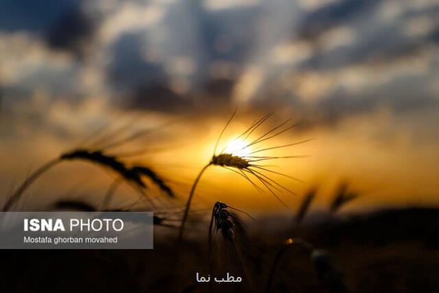 سلام کشاورزی به آینده با شغل های نوین