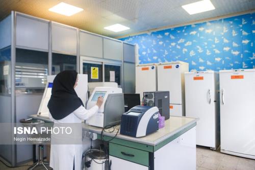 پژوهش محققان دانشگاه امیرکبیر در حوزه سیستم های دارورسانی بر پایه نانوساختارها