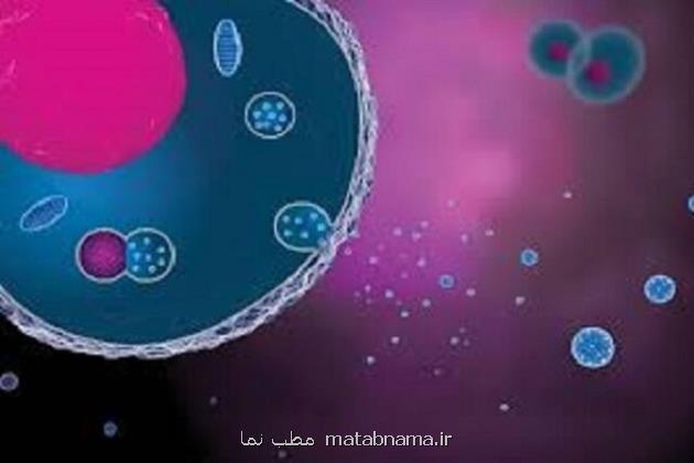 رویکردی نوین در درمان بیماری های خودایمنی