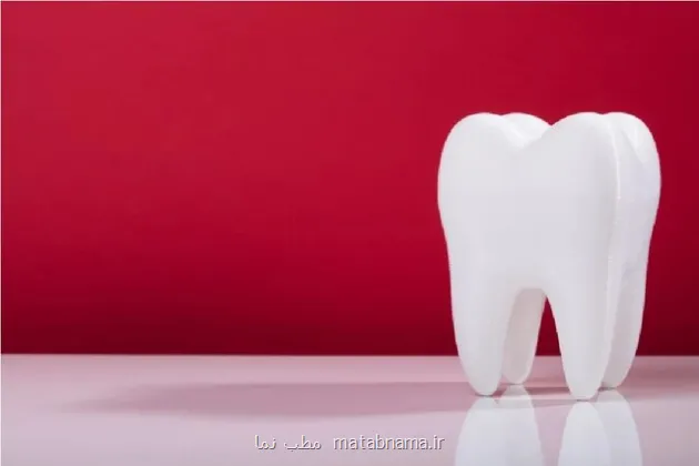 نقش سلامت دندان در پایین آوردن خطر بیماری های قلبی و دیابت