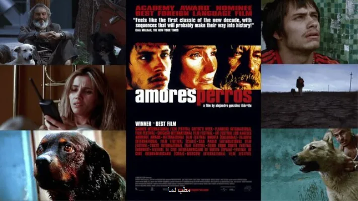 عشق سگی باردیگر زنده شد