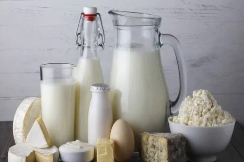 خطر تب مالت با لبنیات محلی