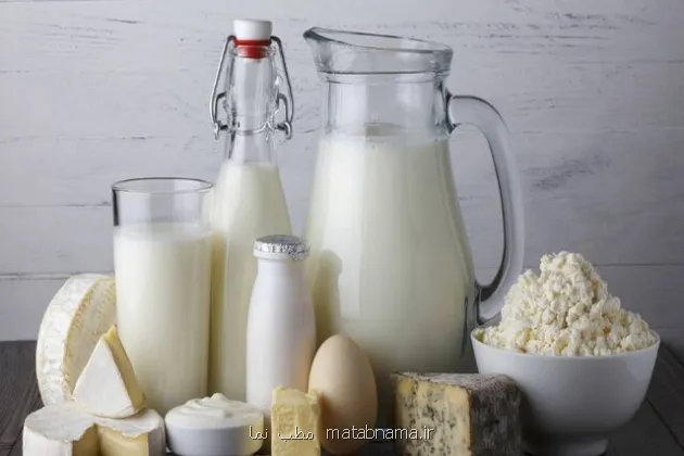 خطر تب مالت با لبنیات محلی