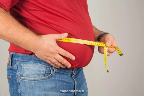 نقش چاقی در بیماریهای قلبی، کلیوی و متابولیک