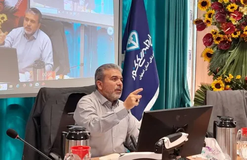 موارد هاری گربه داریم به گربه ها غذا ندهید