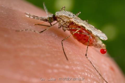 تقدیر سازمان بهداشت جهانی از برنامه حذف مالاریا در ایران در اجلاس ژنو