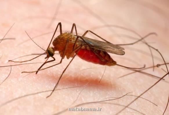 پرونده مالاریا در ایران بسته می شود؟