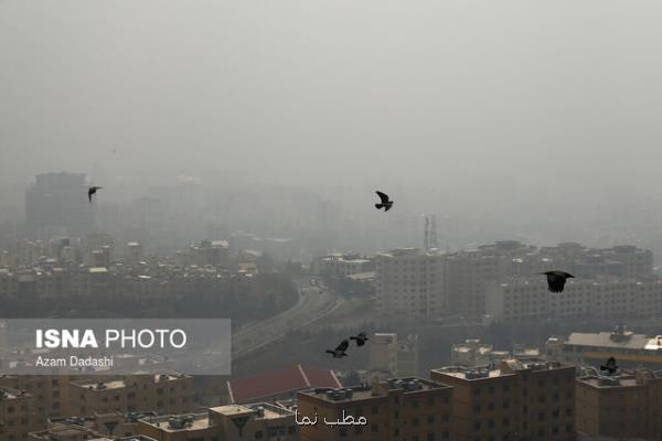 آلودگی هوا علت مرگ ۳هزار تهرانی بالای ۳۰ سال در سال قبل