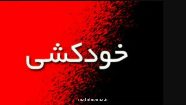 ضرورت مشاركت فعال دستگاههای مرتبط در امر مقابله با خودكشی