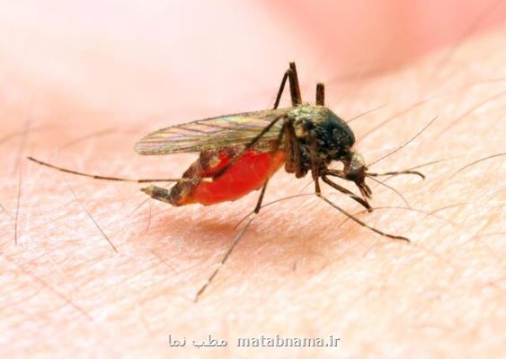 افزایش قربانیان مالاریا در آنگولا در سال جدید