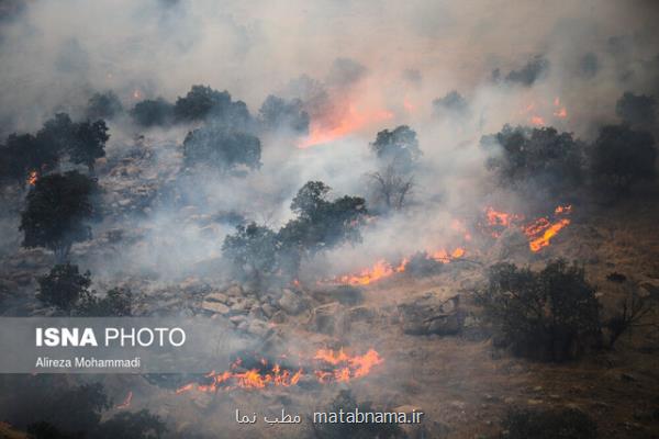 آتش سوزی جنگل چه بلایی بر سر خاك می آورد؟