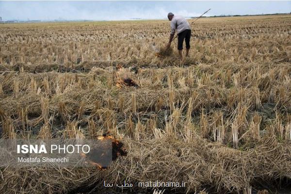 كاهش هدررفت آب و خاك با روش محقق ایرانی