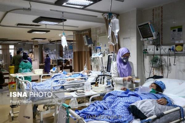 كاهش نسبی آمار بستری در فارس