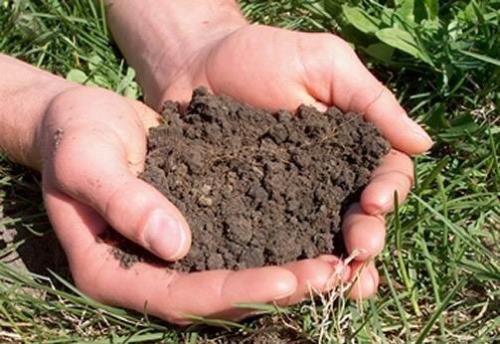 چگونه می توان خاك را برای افزایش ذخیره كربن مدیریت كرد؟