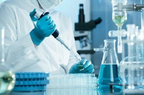 چهاردهمین كنگره پژوهشی دانشجویان علوم پزشكی شرق كشور